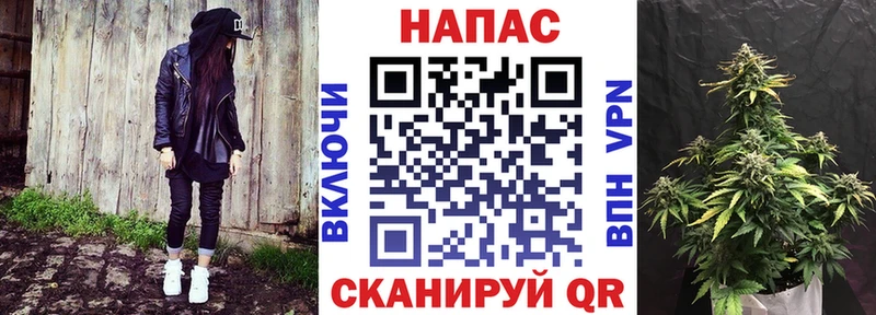 Шишки марихуана сатива  Купить где  Альметьевск 